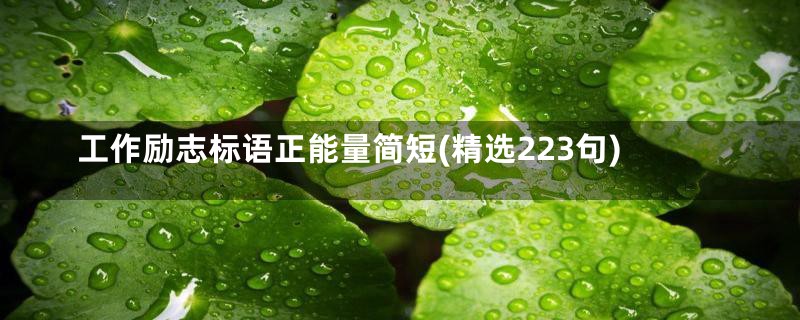 工作励志标语正能量简短(精选223句)