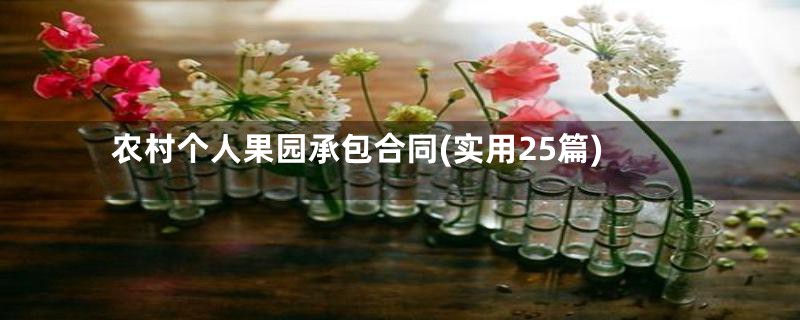 农村个人果园承包合同(实用25篇)