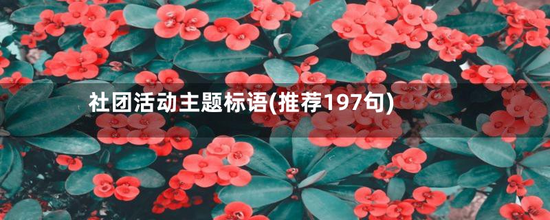 社团活动主题标语(推荐197句)