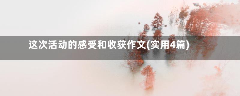 这次活动的感受和收获作文(实用4篇)