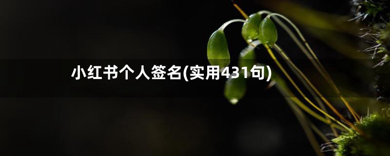 小红书个人签名(实用431句)