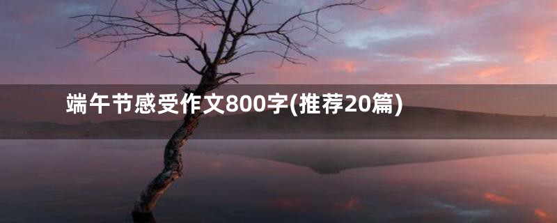 端午节感受作文800字(推荐20篇)