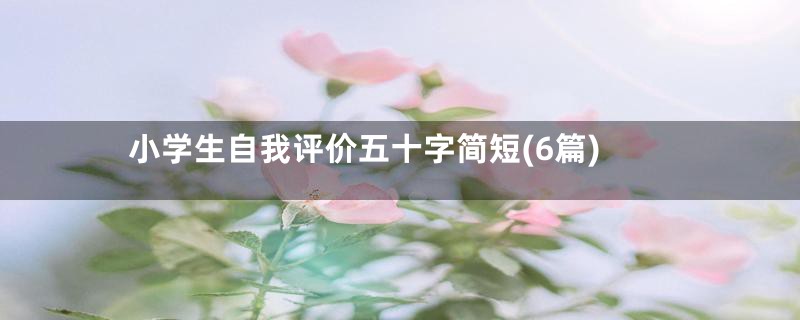 小学生自我评价五十字简短(6篇)