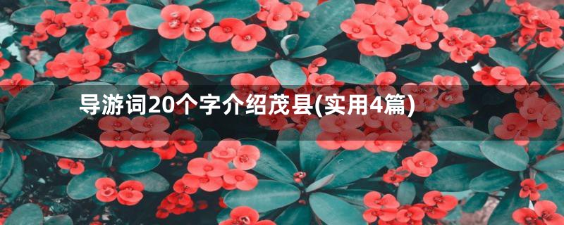 导游词20个字介绍茂县(实用4篇)