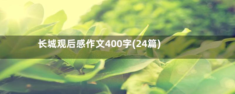 长城观后感作文400字(24篇)