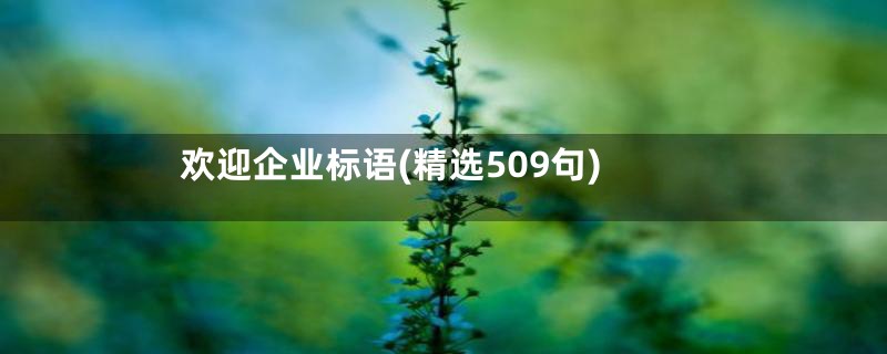 欢迎企业标语(精选509句)