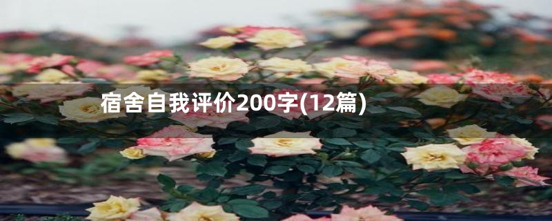 宿舍自我评价200字(12篇)