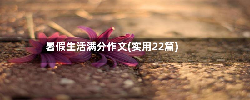 暑假生活满分作文(实用22篇)