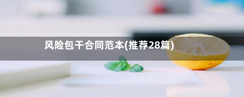 风险包干合同范本(推荐28篇)