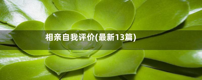 相亲自我评价(最新13篇)