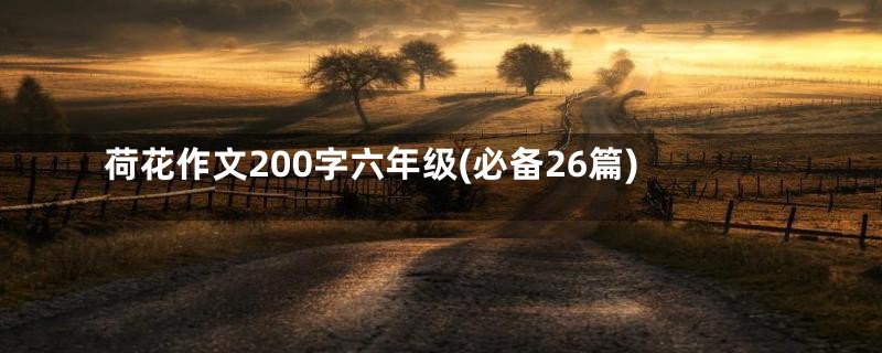 荷花作文200字六年级(必备26篇)