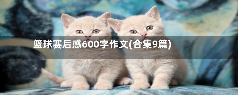 篮球赛后感600字作文(合集9篇)