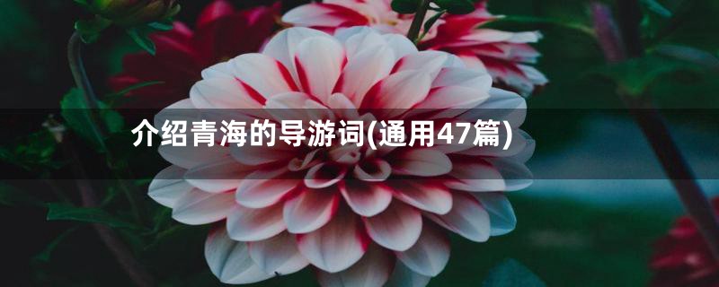 介绍青海的导游词(通用47篇)