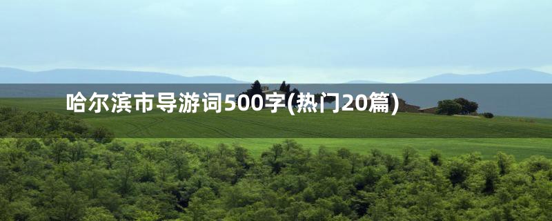 哈尔滨市导游词500字(热门20篇)