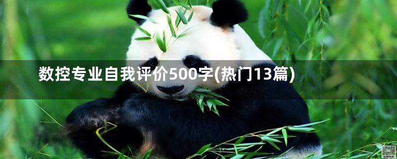 数控专业自我评价500字(热门13篇)