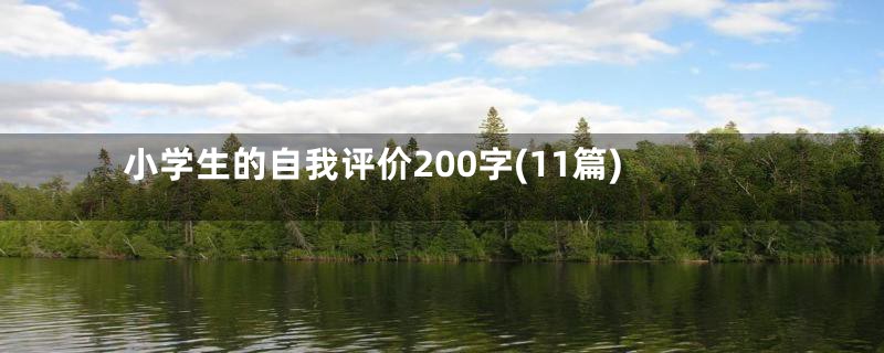 小学生的自我评价200字(11篇)