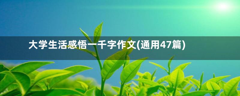 大学生活感悟一千字作文(通用47篇)