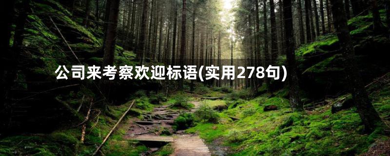 公司来考察欢迎标语(实用278句)