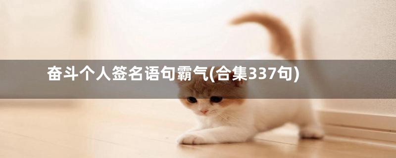 奋斗个人签名语句霸气(合集337句)