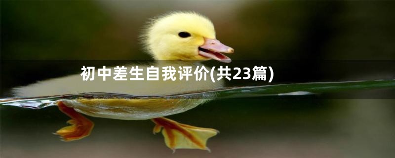 初中差生自我评价(共23篇)