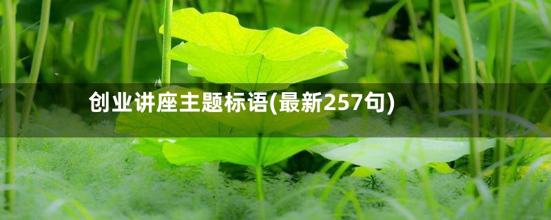 创业讲座主题标语(最新257句)