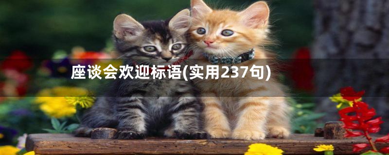 座谈会欢迎标语(实用237句)