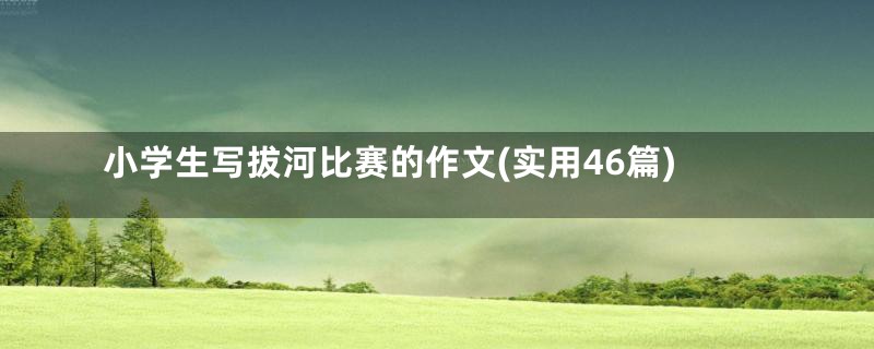 小学生写拔河比赛的作文(实用46篇)