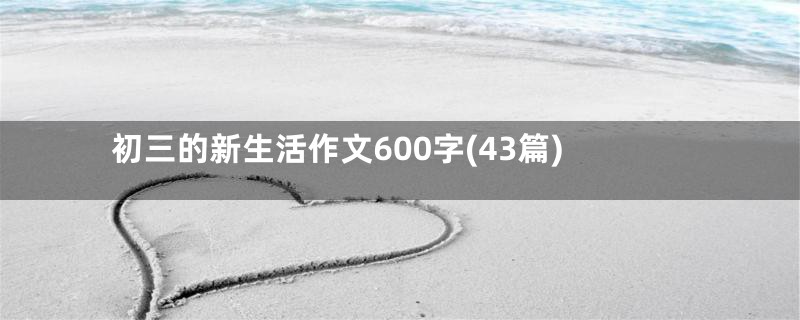 初三的新生活作文600字(43篇)