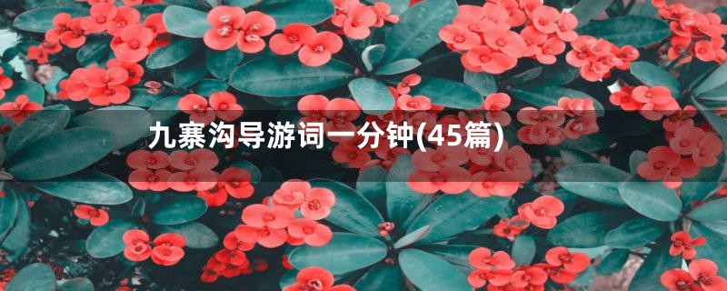 九寨沟导游词一分钟(45篇)