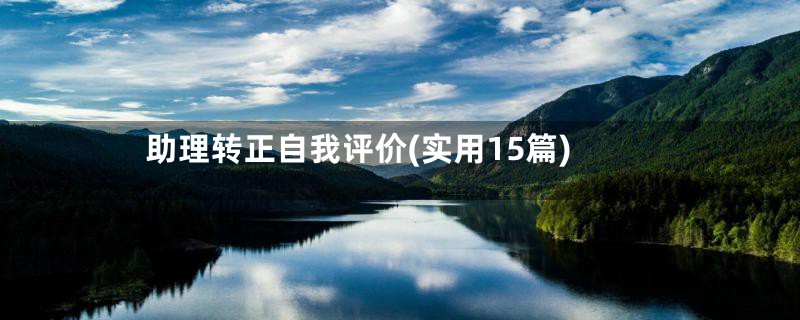 助理转正自我评价(实用15篇)