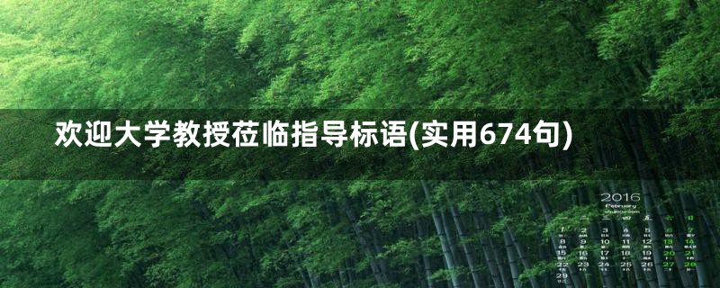 欢迎大学教授莅临指导标语(实用674句)