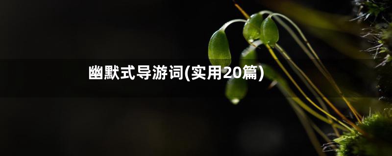 幽默式导游词(实用20篇)