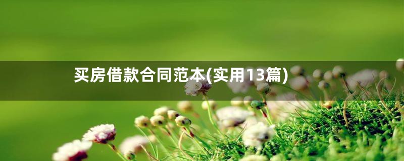 买房借款合同范本(实用13篇)