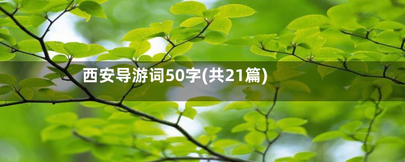 西安导游词50字(共21篇)