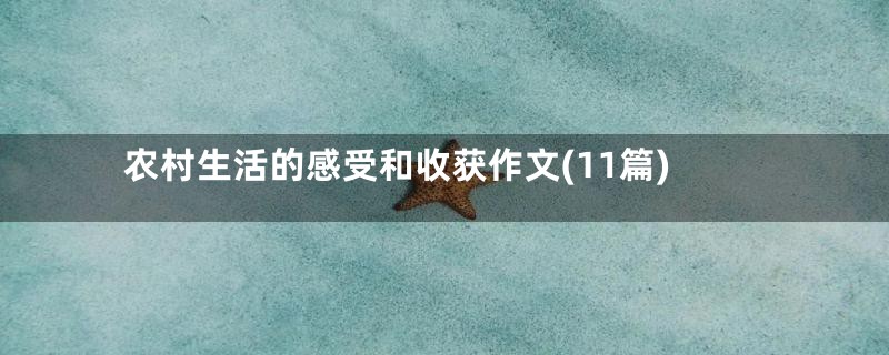 农村生活的感受和收获作文(11篇)