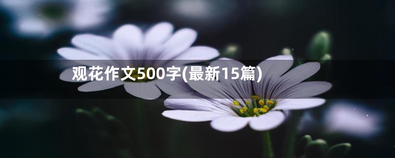 观花作文500字(最新15篇)