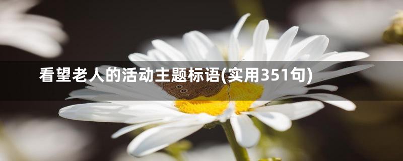 看望老人的活动主题标语(实用351句)