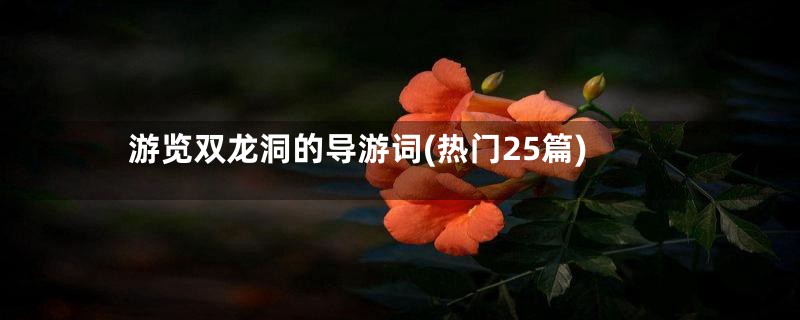 游览双龙洞的导游词(热门25篇)