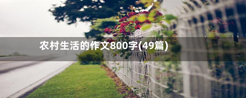 农村生活的作文800字(49篇)