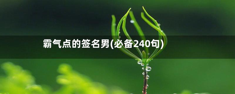 霸气点的签名男(必备240句)