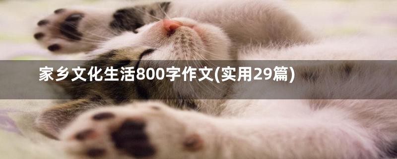 家乡文化生活800字作文(实用29篇)