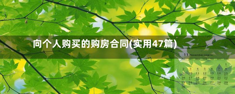 向个人购买的购房合同(实用47篇)