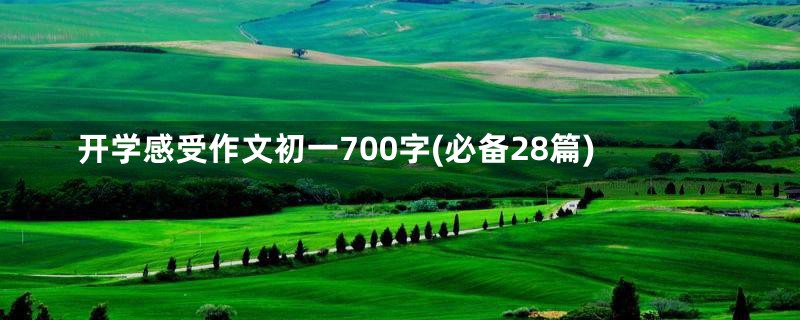 开学感受作文初一700字(必备28篇)