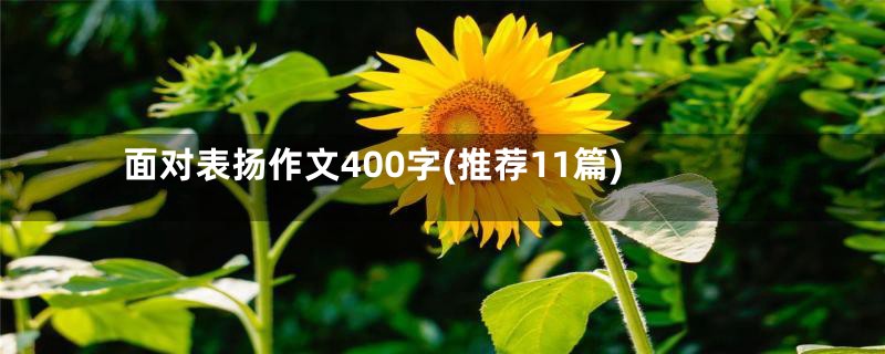 面对表扬作文400字(推荐11篇)