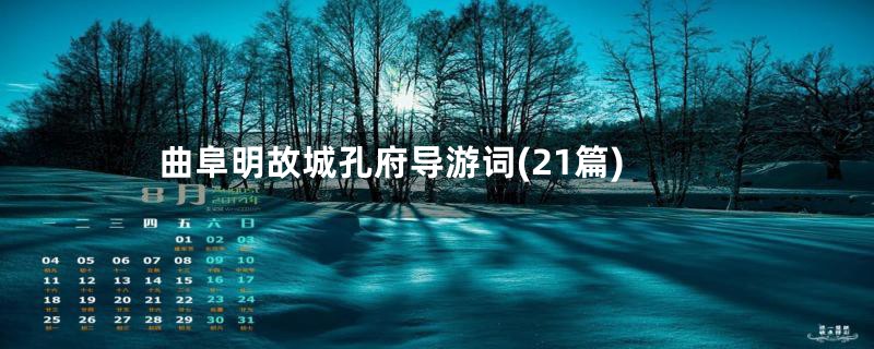 曲阜明故城孔府导游词(21篇)