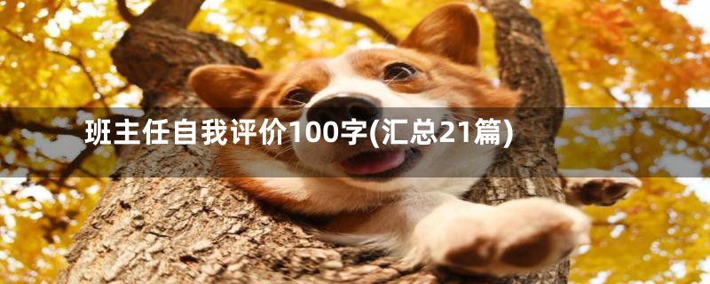 班主任自我评价100字(汇总21篇)