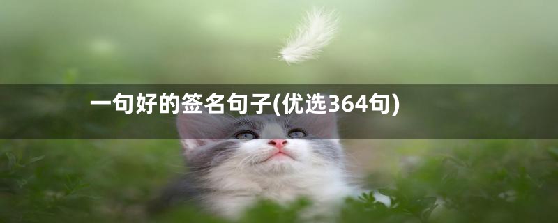 一句好的签名句子(优选364句)