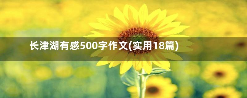 长津湖有感500字作文(实用18篇)