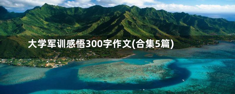 大学军训感悟300字作文(合集5篇)