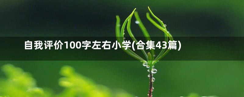 自我评价100字左右小学(合集43篇)